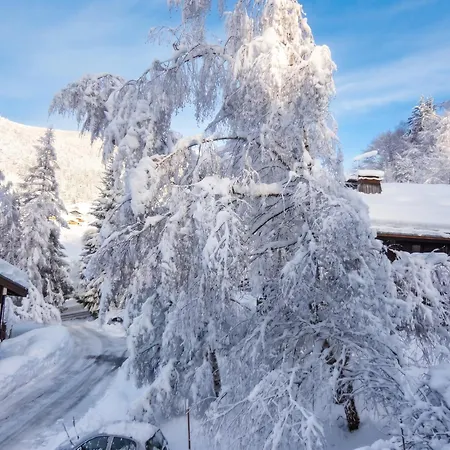 Appartement D'une Avec Vue Sur La Et Jardin Amenage A A 2 Km Des Pistes
