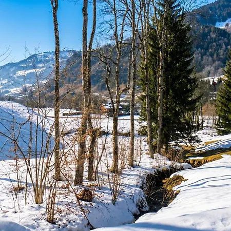 Confortable A - 60 M² - Vue Sur Montagnes Apartment Megeve